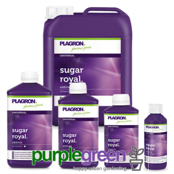plasgron Sugar Royal organischer Blühstimulator purplegreen linz